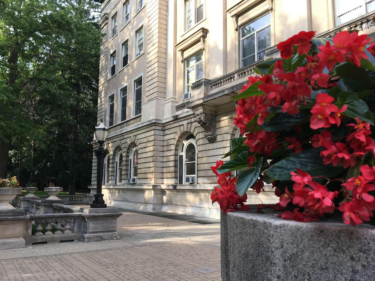 Red flowers out front of Guerin Hall